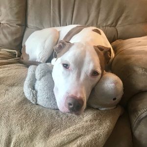 Meet your Posher, Julie